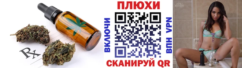 цена   Гвардейск  Canna-Cookies конопля 