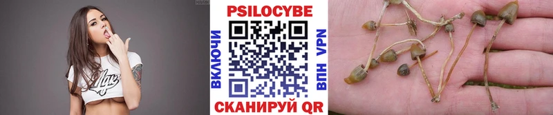 мориарти клад  mega как войти  Гвардейск  Псилоцибиновые грибы мухоморы 