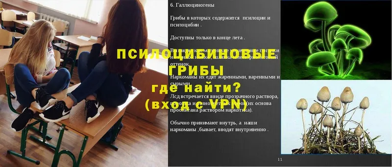 Псилоцибиновые грибы мухоморы  OMG ТОР  Гвардейск 